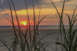 schattiger campingplatz moliets plage vermietung von campinghutten