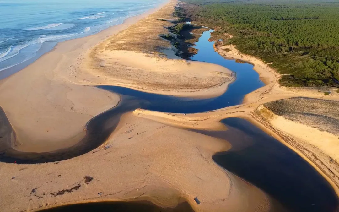 La beauté du sentier pédestre courant d’Huchet à Pichelèbe
