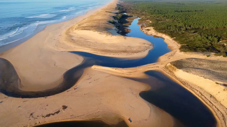 Reserve Naturelle Du Courant D Huchet 11 Copie