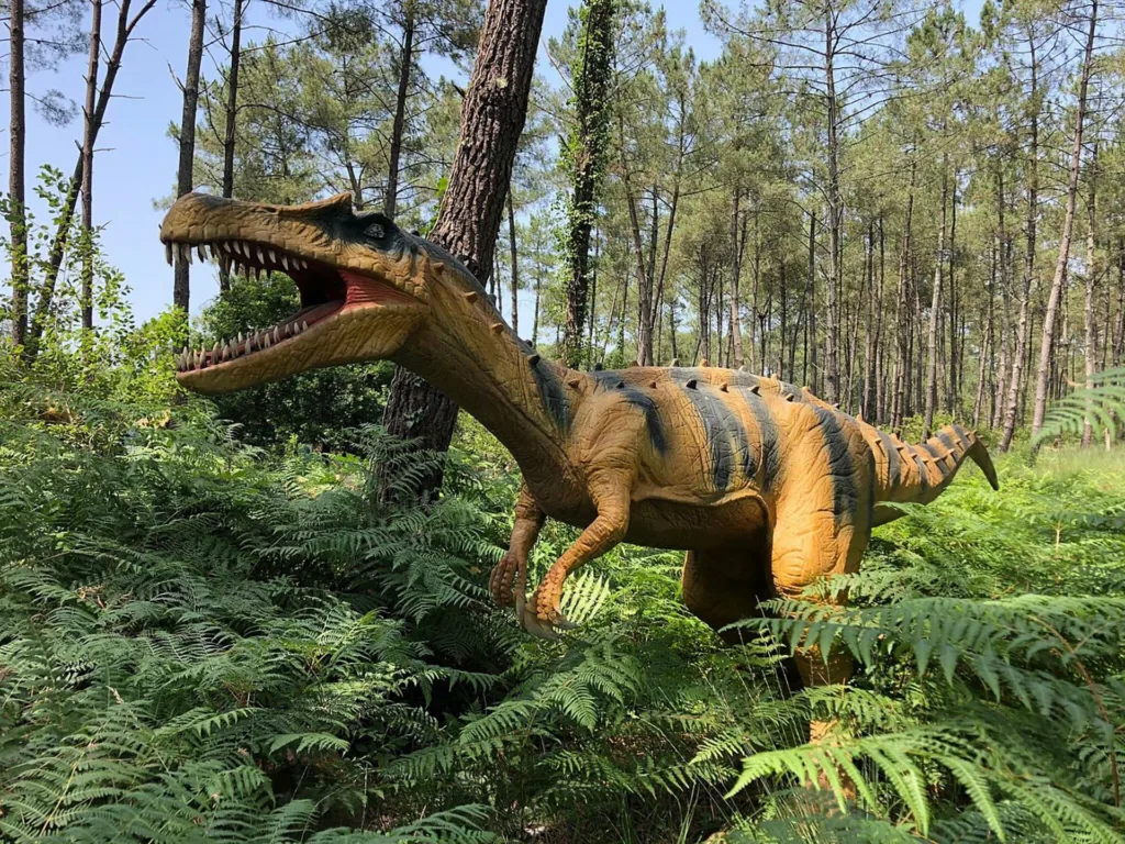 Dinosaure Parc 1 16