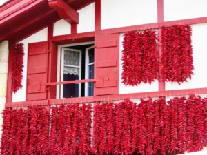 Traditional Drying Of Red Espelette Pepper Braids S