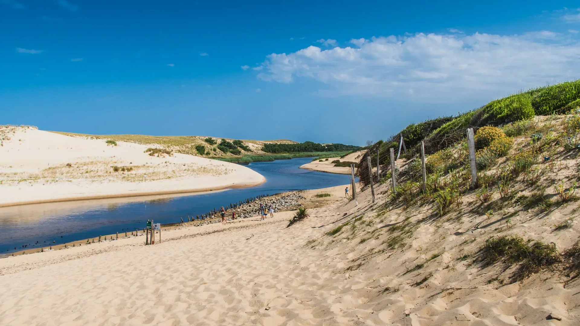 Randonnee Landes Couranthuchet