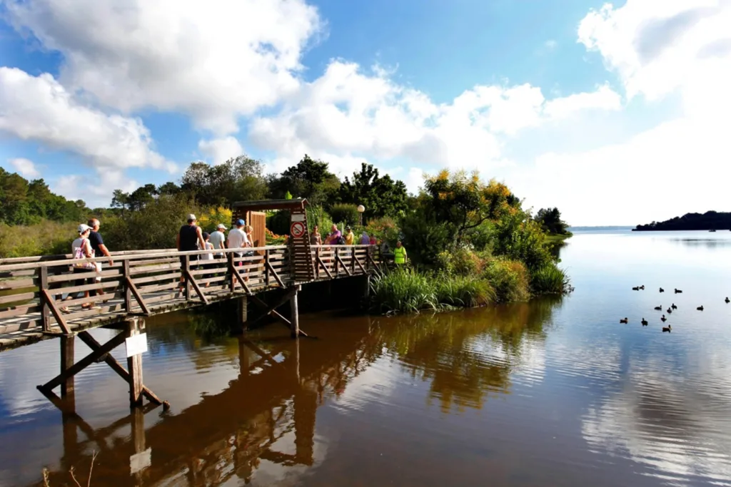 Vacances Touristiques Mimizan (1)