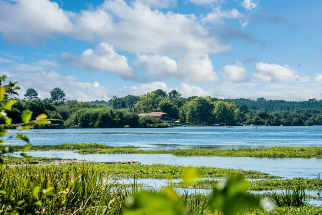 Visit Of Lake Léon In The South West Of France