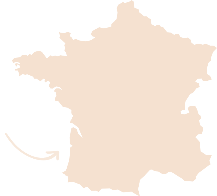 Landes Moliets map