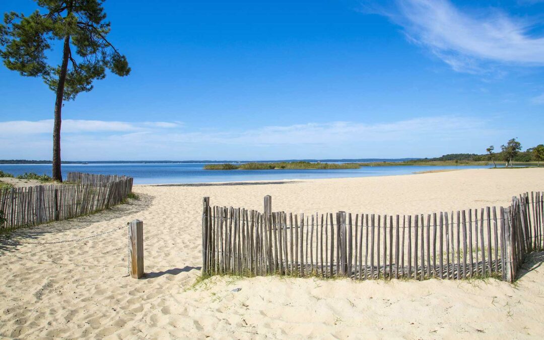 Préparer ses vacances dans les Landes : nos conseils pour réserver malin